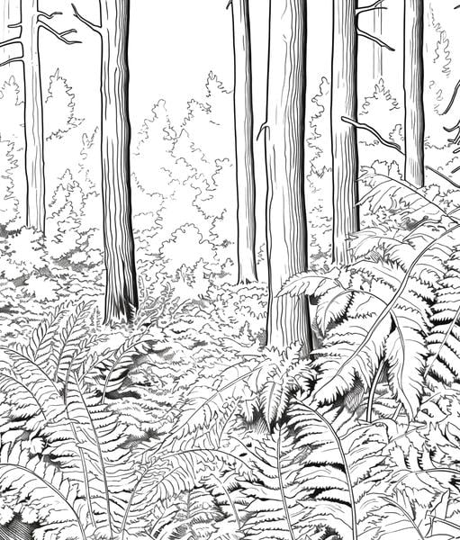 Free printable forest coloring pages list