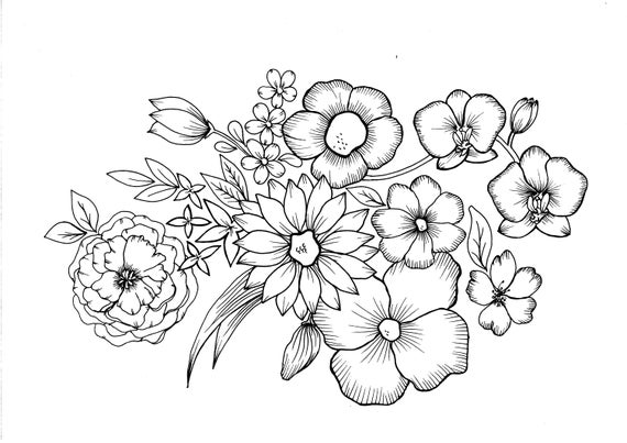 Buy flowers pdf coloring page online in india