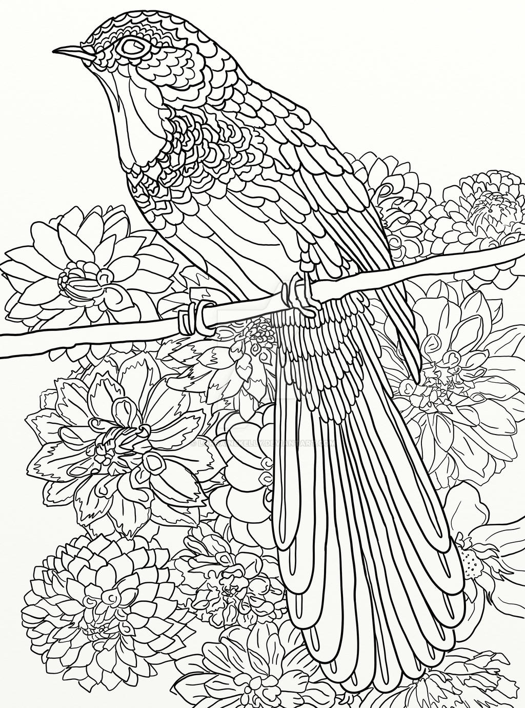 Page of australian birds adult coloring book by lorrainekelly on