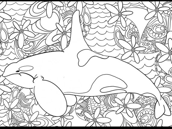 Orca beauty coloring page
