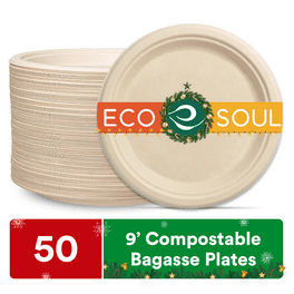 Great value everyday disposable foam plates in ct