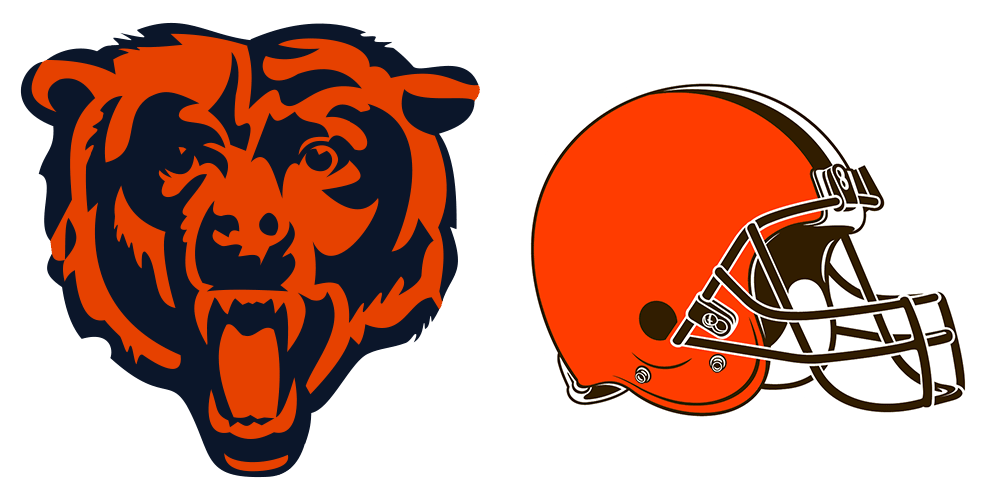 Bears