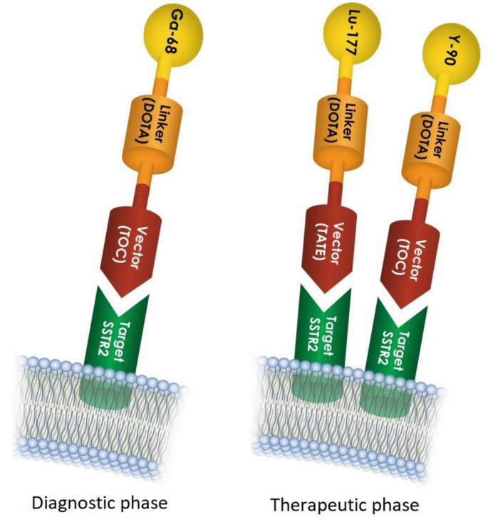 Principles of molecular targeting for radionuclide therapy