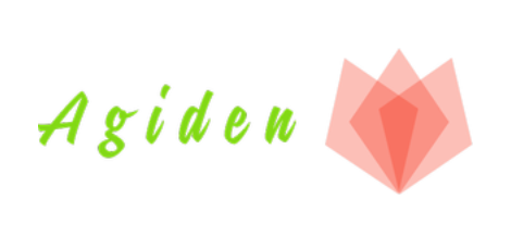 Shopify stores that launched on january