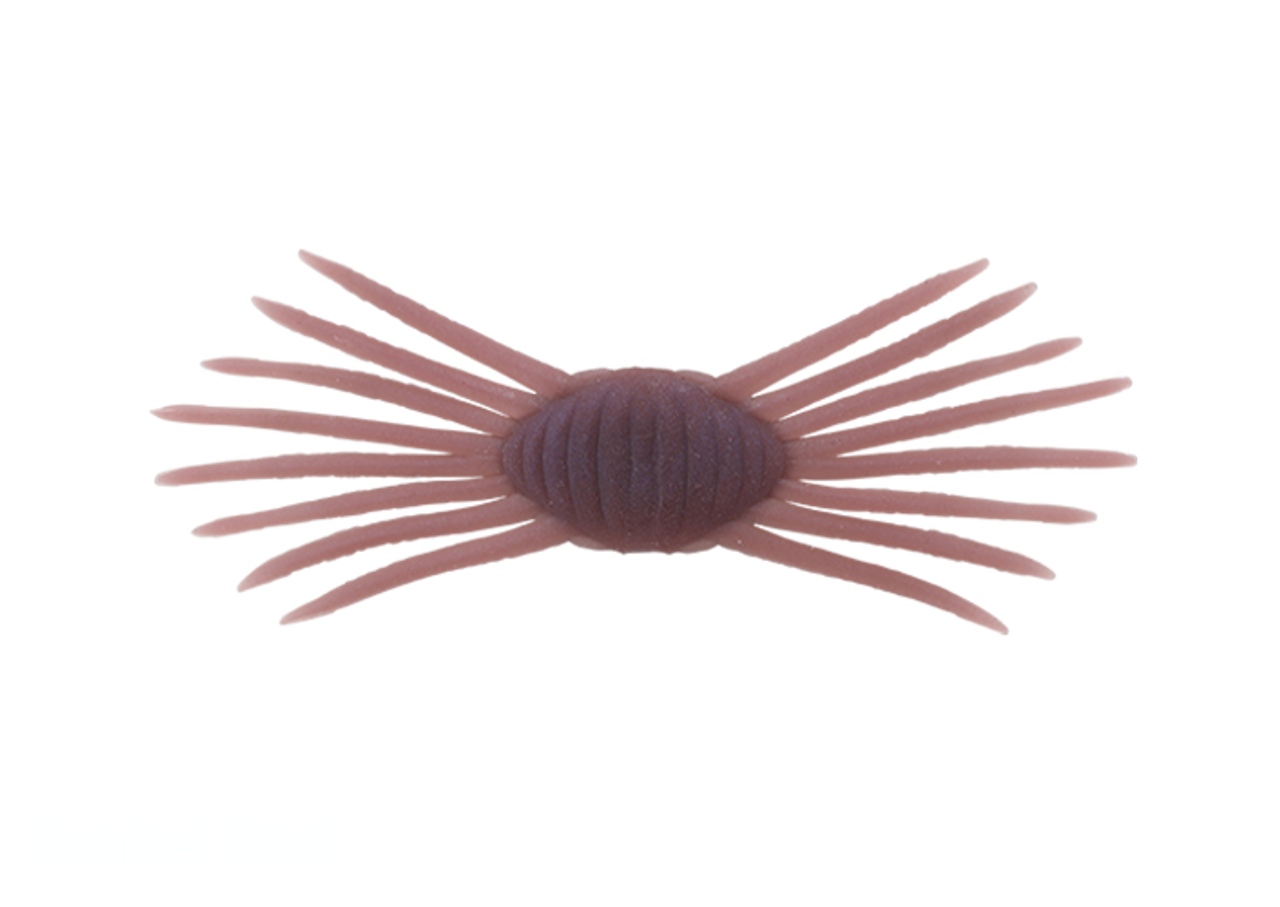 Jackall drift crab mini new
