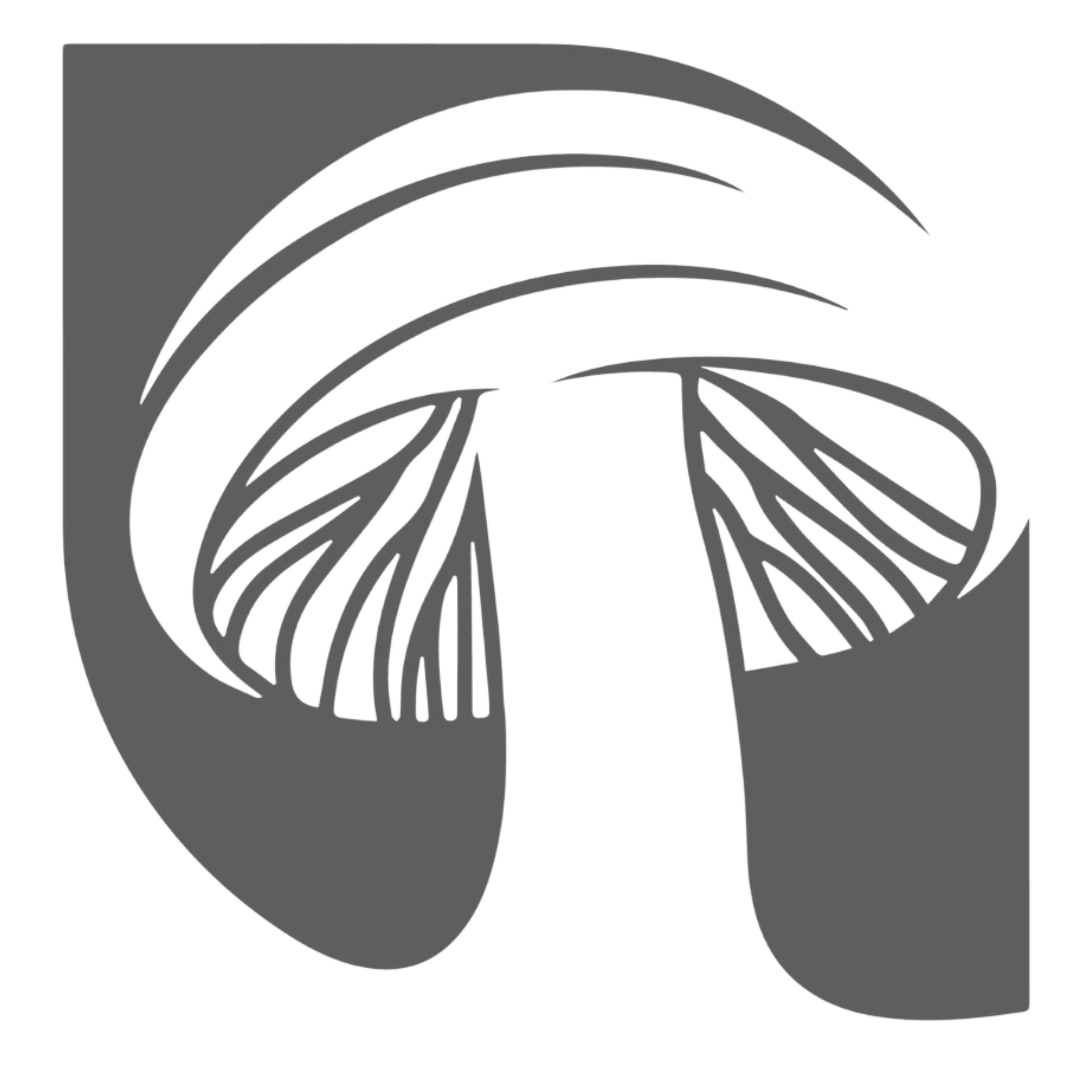 Official â pure syncore