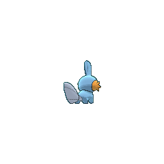 Mudkip pokãmon