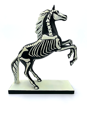 Trail of painted ponies midnight glow e very rare retired pony