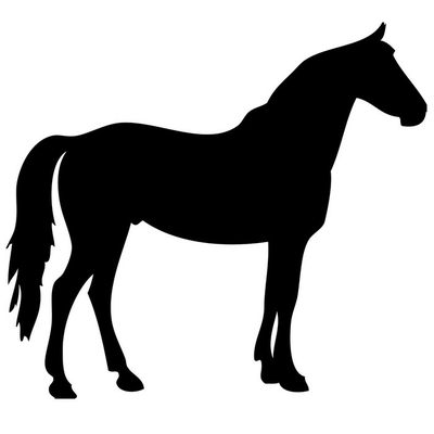Wandtattoo schwarzes pferd silhouette