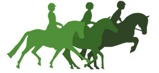 Stralian sports pony registry