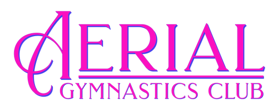 Aerial gymnastics club torrance california