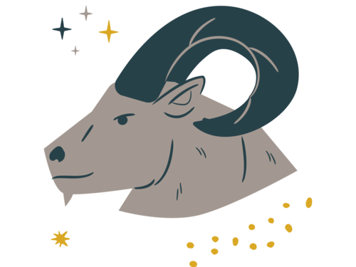 Zodiac signs that ake the best os the ties of india