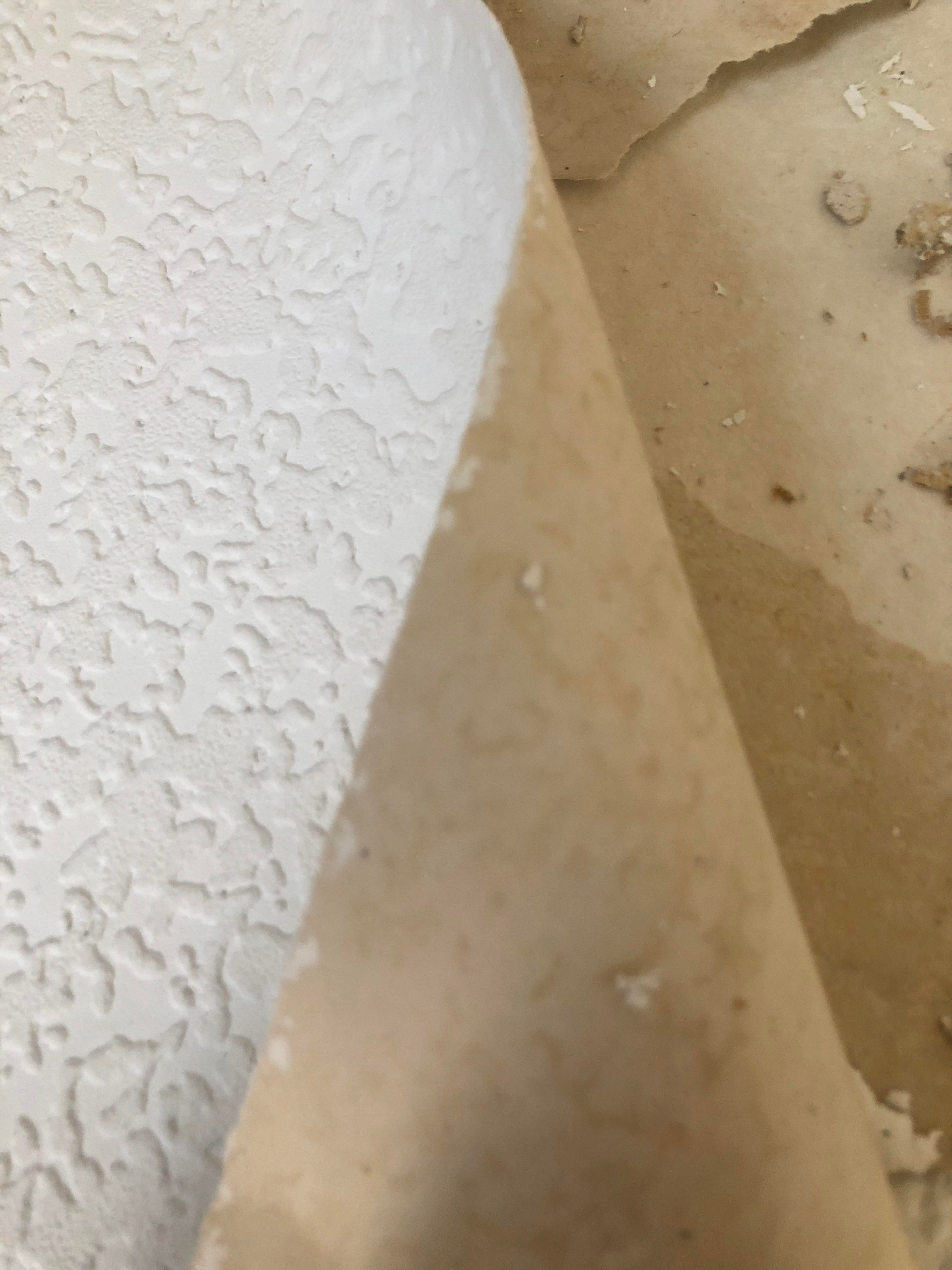 Could this wallpaper be asbestos rdiyuk