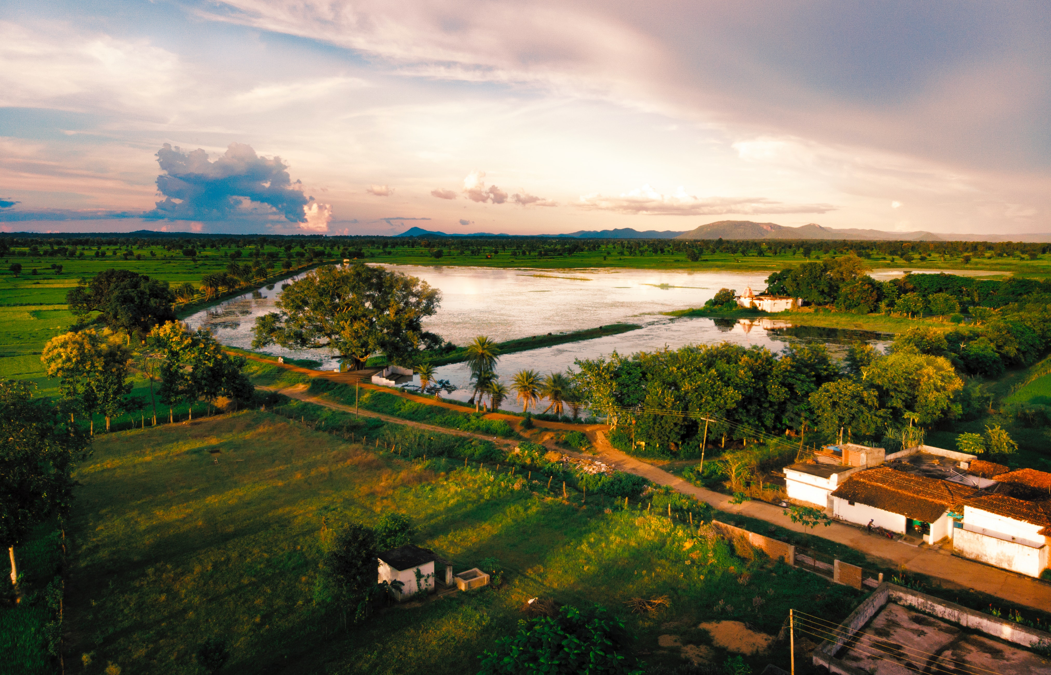 Assam photos download free assam stock photos hd images