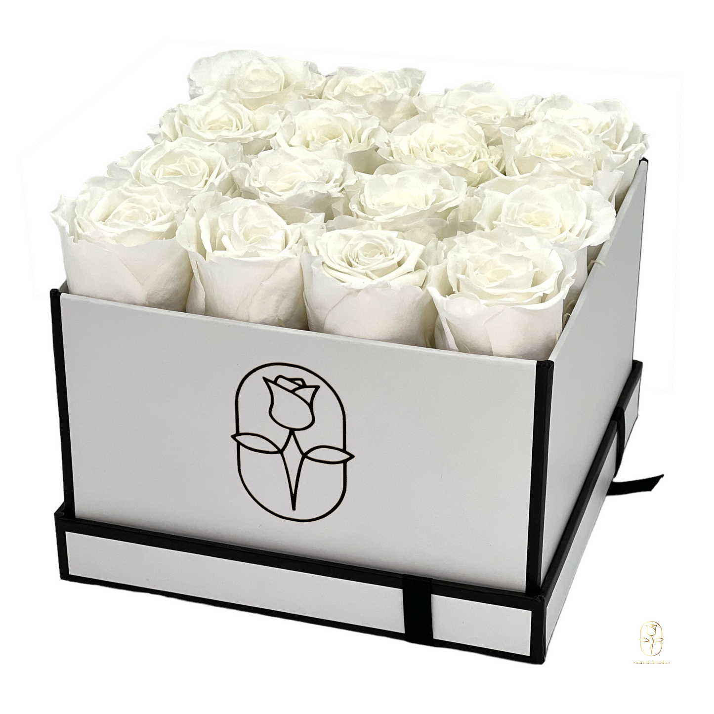Eternal roses nada classic square box rose collection ii