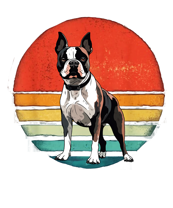 Boston bull terrier vintage dog retro dogs owner toddler t