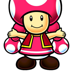 Super mario bros the codex wiki