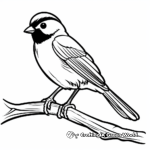Black capped chickadee coloring pages
