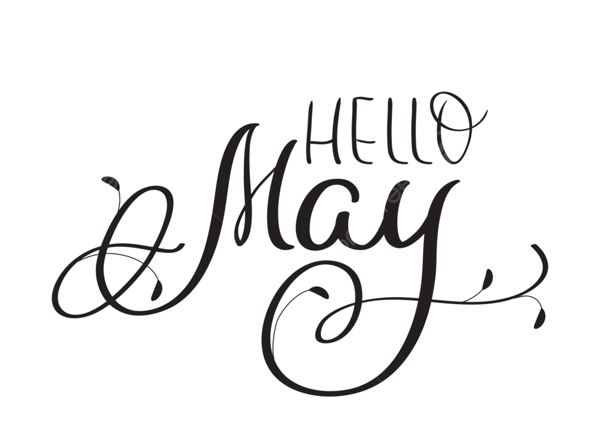 Ilustraciãn de vector de caligrafãa vintage de hola texto de mayo sobre fondo blanco dibujado a mano con eps vector png rizo frase cepillo png y vector para dcargar gratis