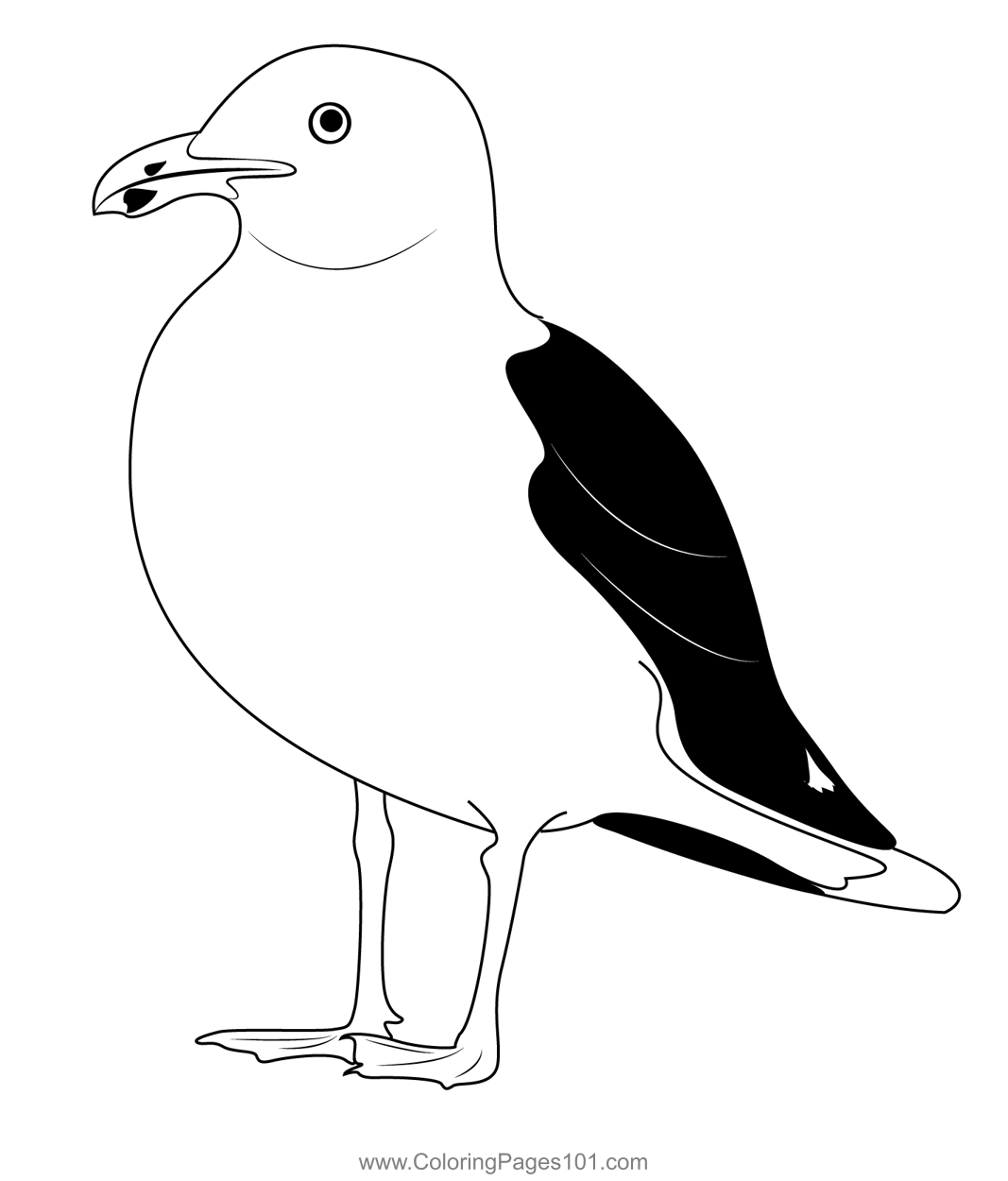 California gull coloring page for kids