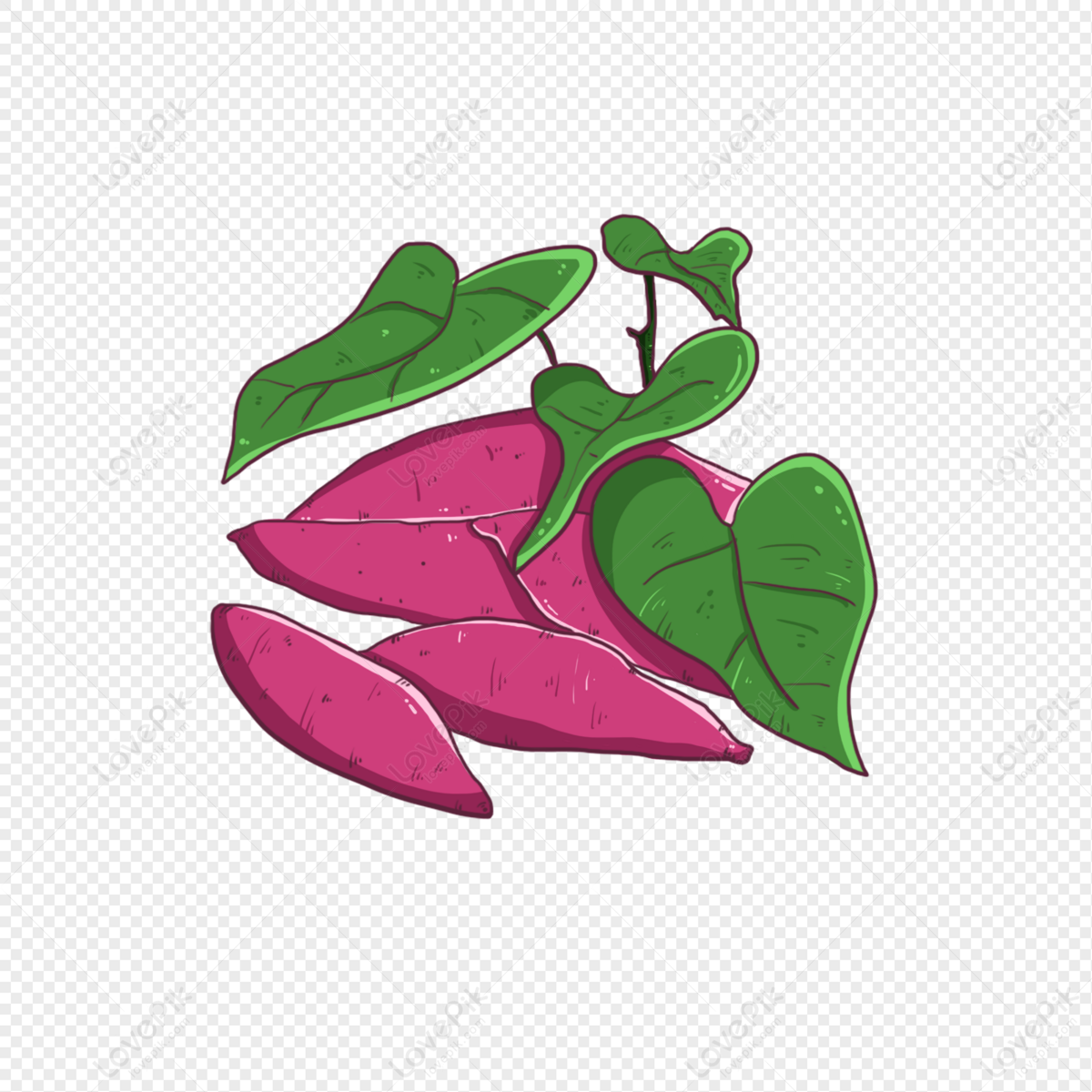 Camote png imãgen con fondo transparente dcarga gratuita en