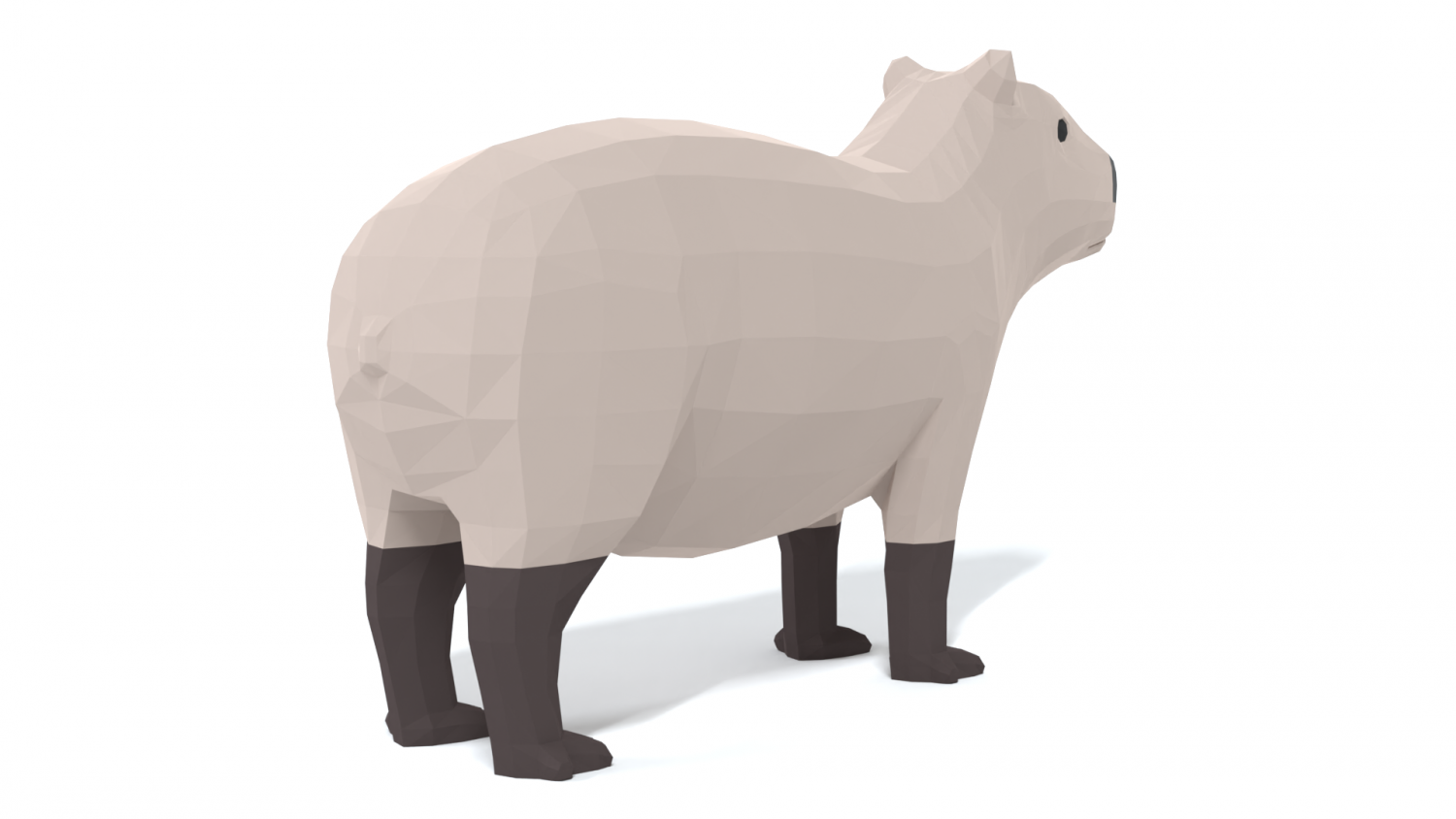 Low poly cartoon capybara d model in other
