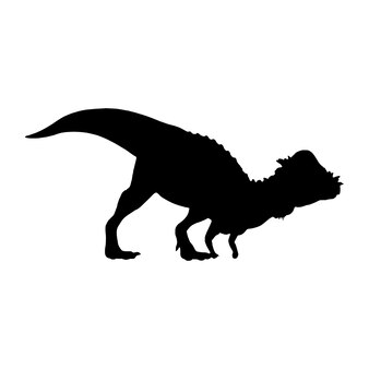 Page dinosaur shadow images