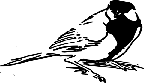 Vintage sparrow coloring page free printable coloring pages