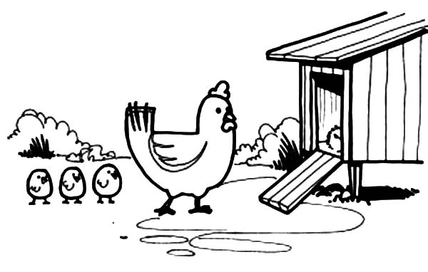 Chicken mother lead her chick enter chicken coop colorg pages