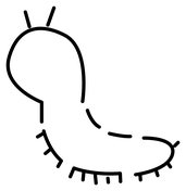 Dibujos de hemãpteros pulgones para colorear