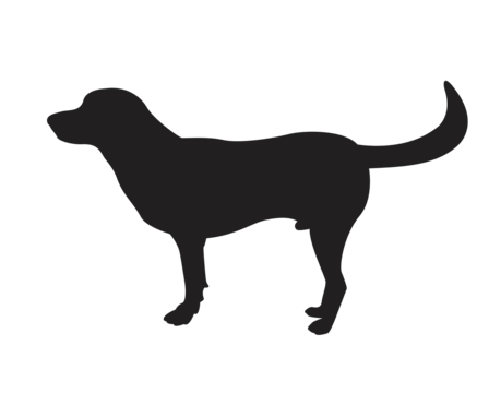 Chocolate lab png transparent images free download vector files