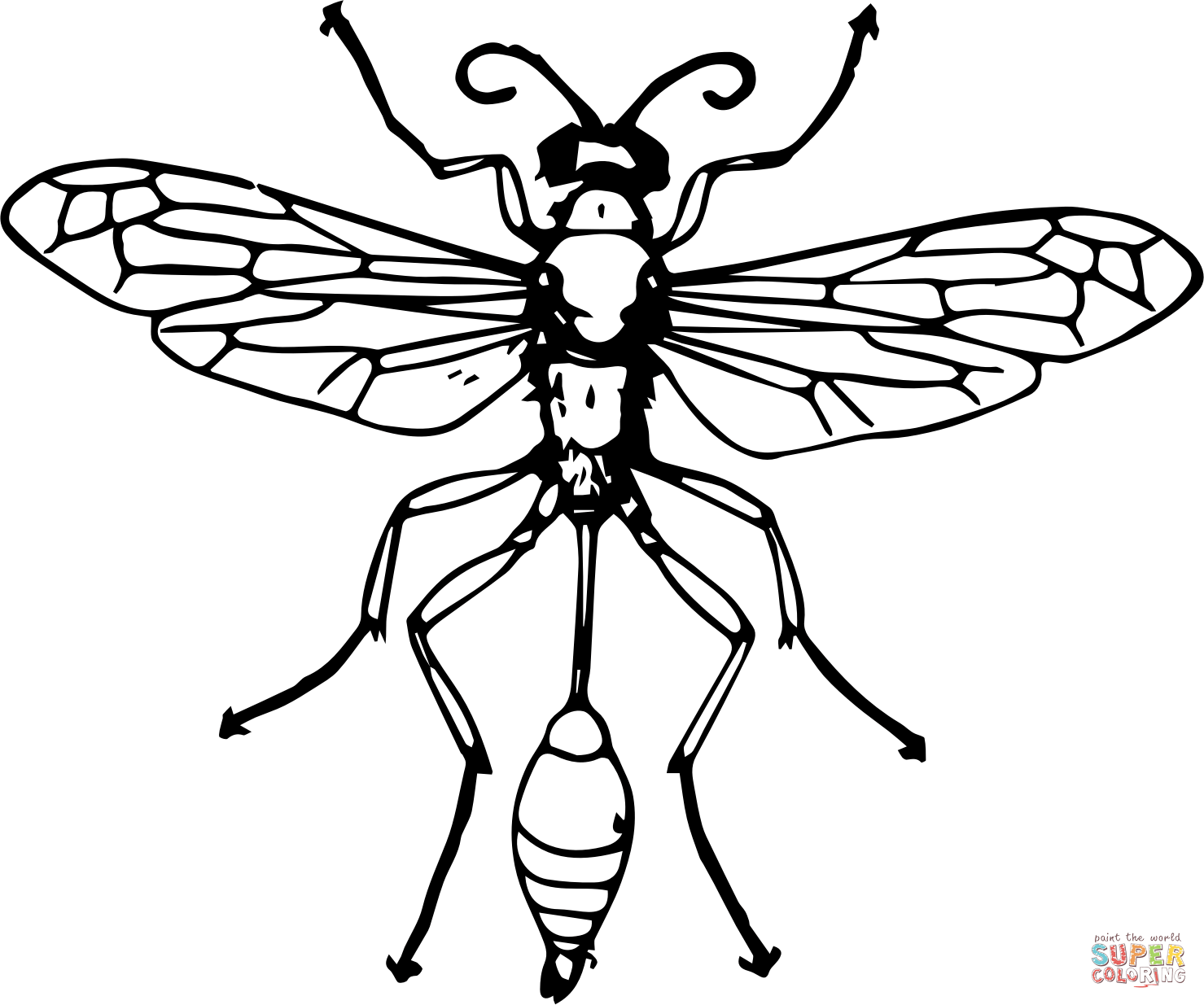 Vintage threadwaisted wasp coloring page free printable coloring pages