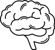 Central nervous system coloring page free printable coloring pages