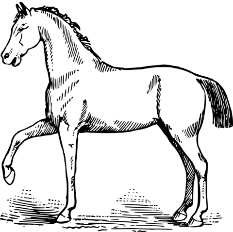 Vintage classic horse coloring page free printable coloring pages