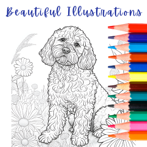 Cockapoo colors a relaxing coloring book for adults vividy designs books