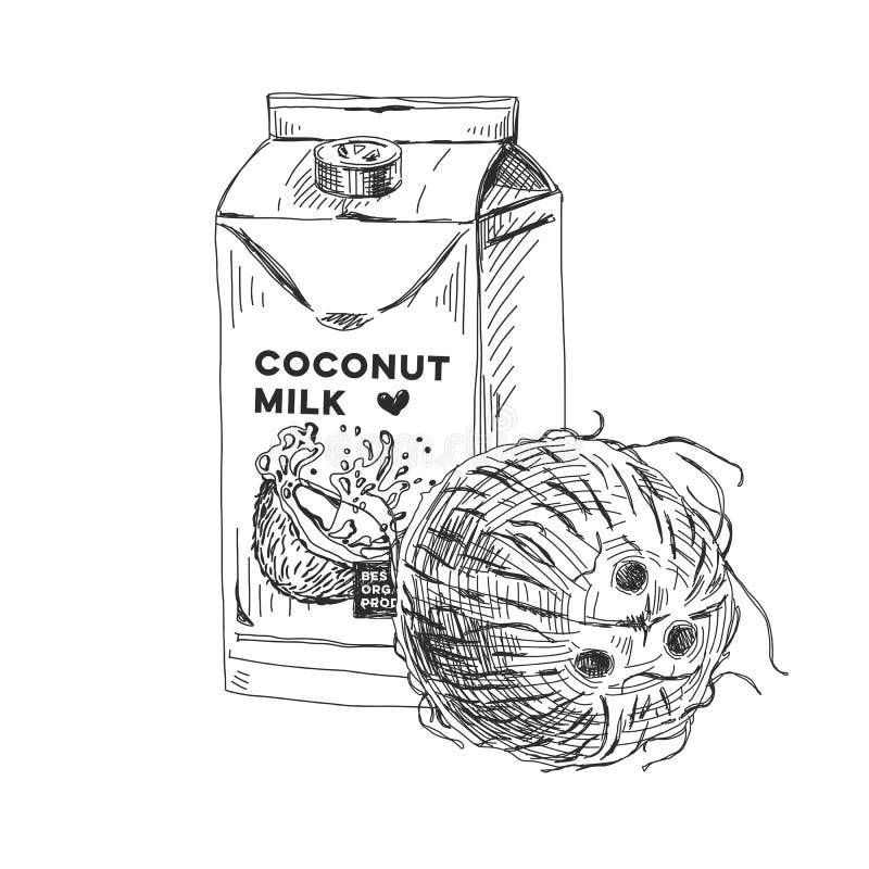 Coconut milk sketch stock illustrations â coconut milk sketch stock illustrations vectors clipart