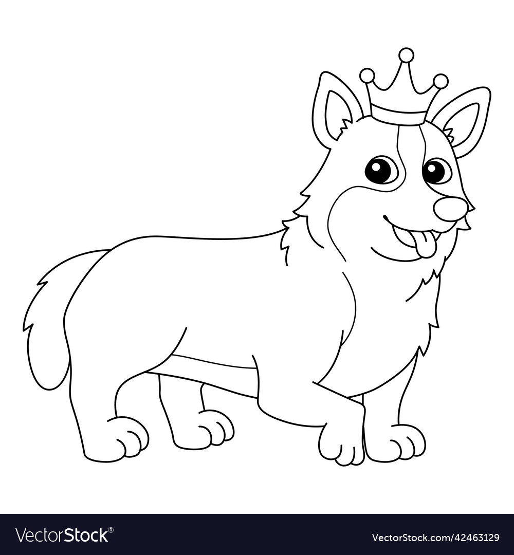 Corgi dog coloring page isolated for kids vector image