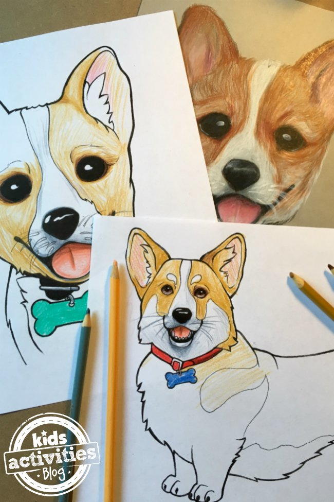 Corgi coloring page