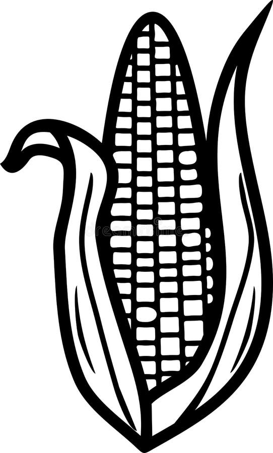 Corn colouring stock illustrations â corn colouring stock illustrations vectors clipart