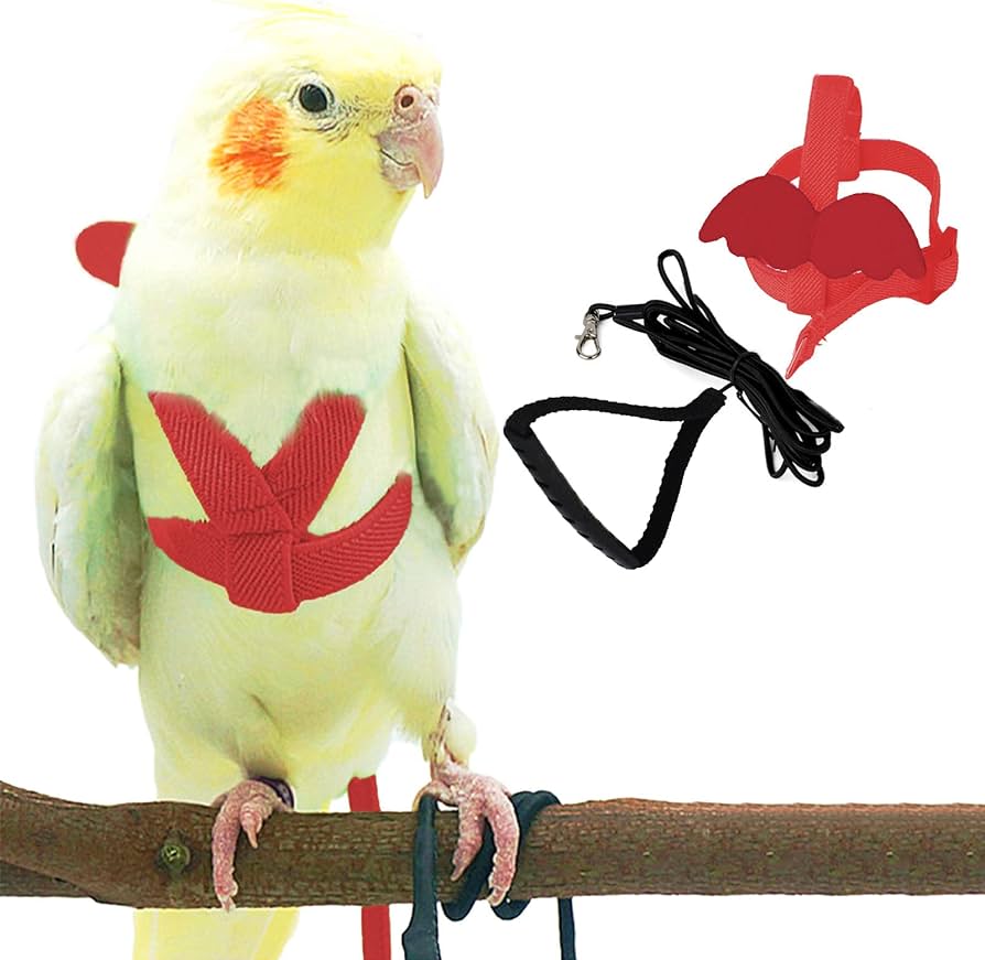 Dnoifne arnãs y correa para pãjaros de loro para mascotas diseão de entrenamiento ajustable antimordeduras cuerda de nailon para pãjaros con linda ala para loros adecuado para escarlata keck mini guacamayo