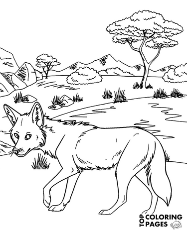 Topcoloringpages user profile