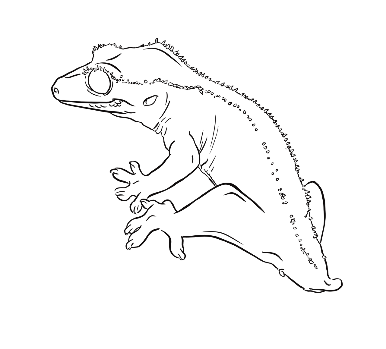 Crested gecko line