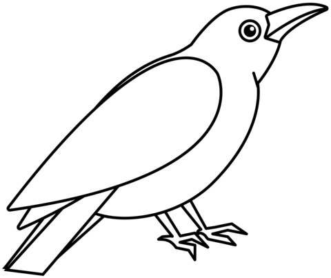 Crow coloring page free printable coloring pages