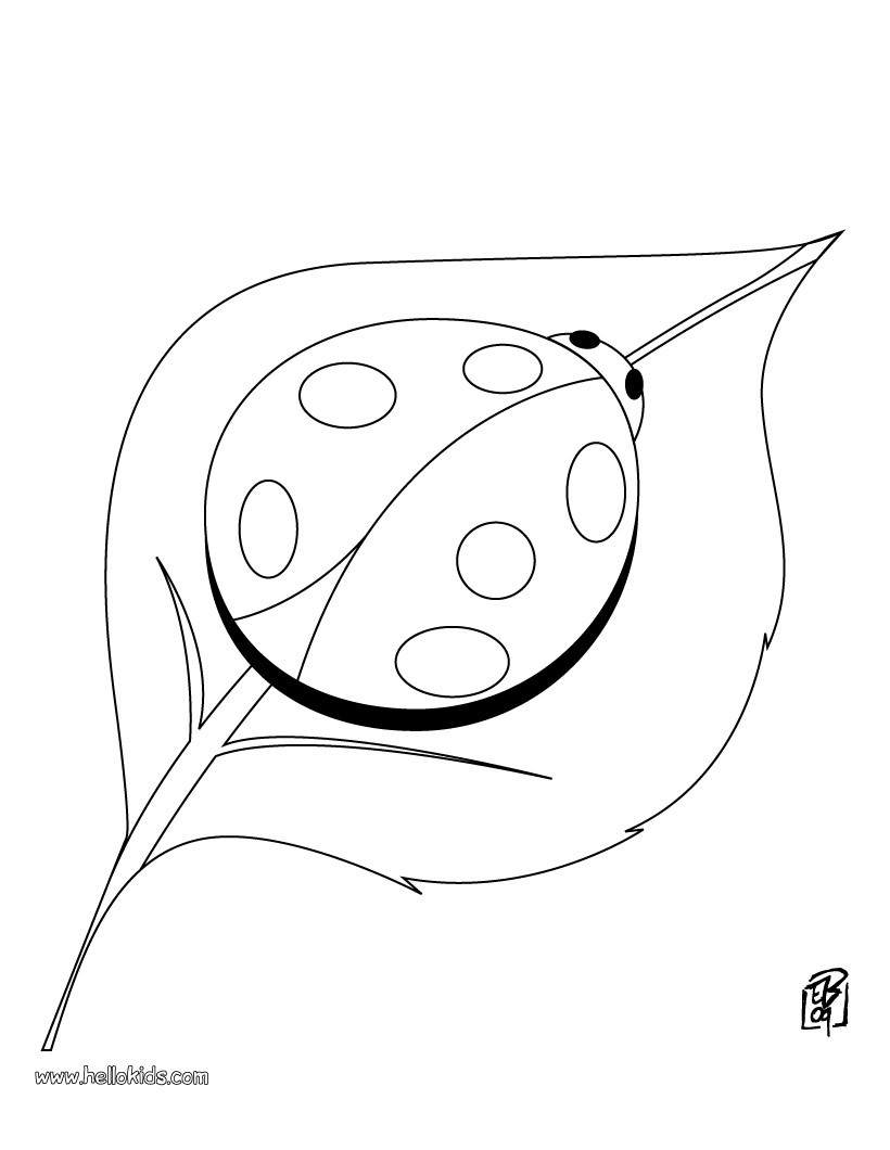 Ladybug coloring pages