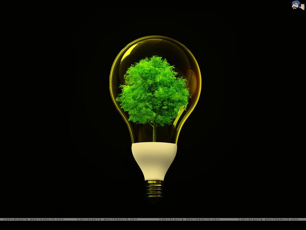 Electrical wallpapers