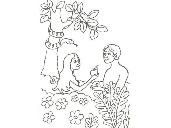 Pin em crafts
