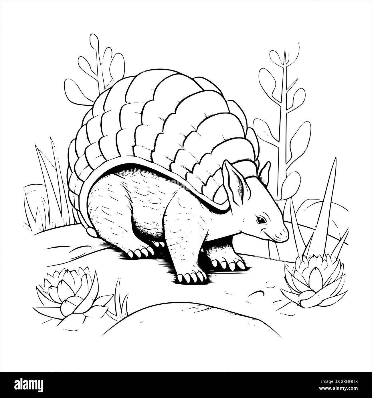 Armadillo coloring page for kids stock vector image art
