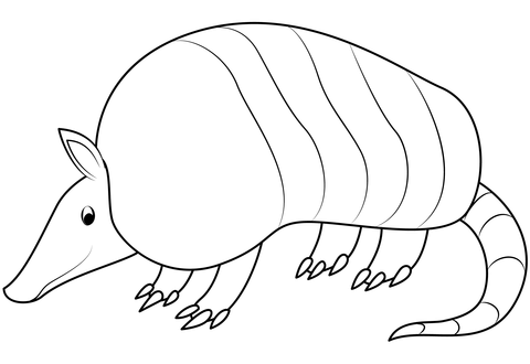 Armadillo coloring page free printable coloring pages