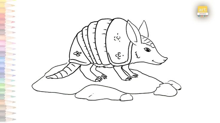 Armadillos coloring armadillos dibujo facil how to draw armadillos step by step easy drawings easy drawings outline drawings animal drawings