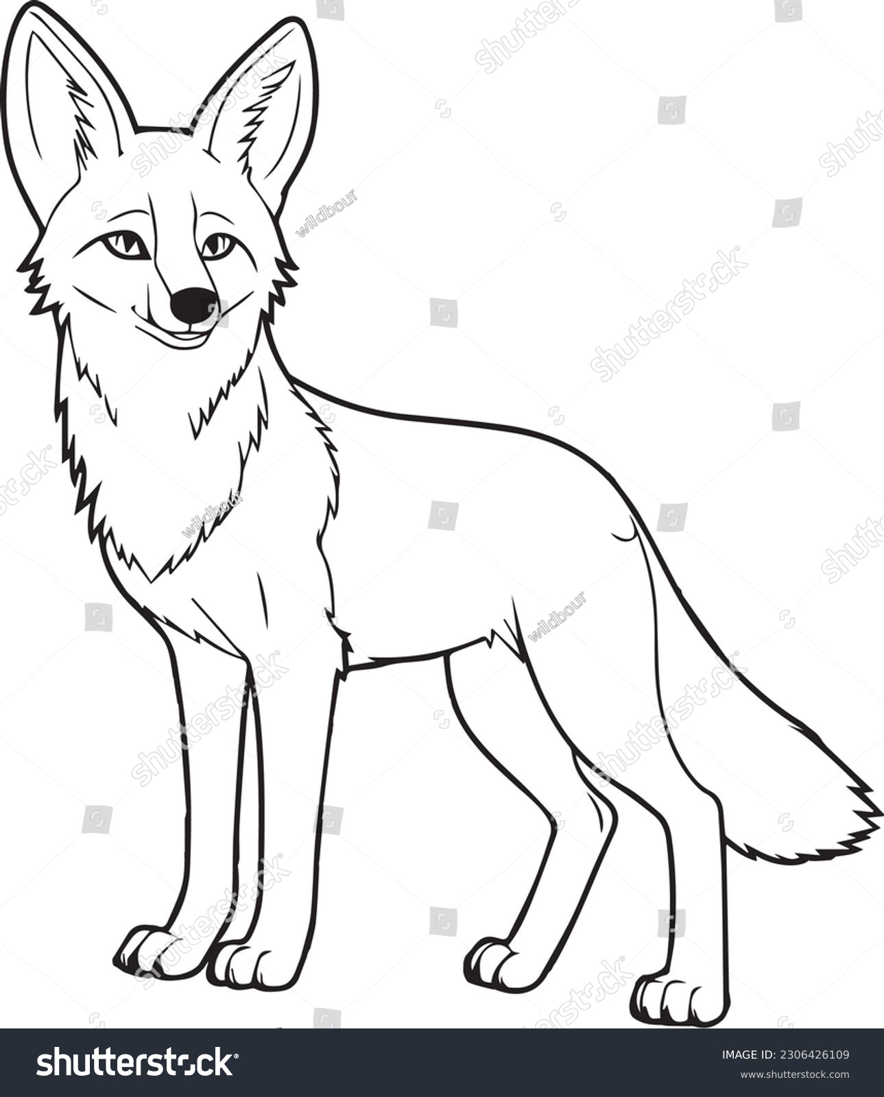 Imãgenes fotos de stock objetos en d y vectores sobre coyote dibujo